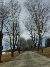 the road in