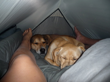 We intended for them to sleep outside the tent but, they crammed in and pretended to instantly be asleep.   We got the message. 